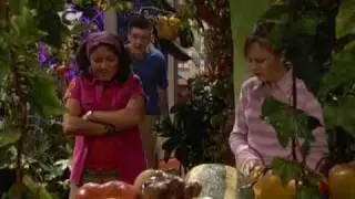 My Parents Are Aliens - Meat And Two Veg (Part 2)