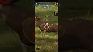 💥ANIMAL HUNTER-Wild Sniper🎯 Ultimate Fun MOBILE 🔫 SNIPING Game 💥 First Online 1V1 Game ✅