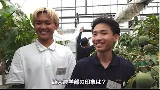 フィールド基礎実習〜指宿植物試験場