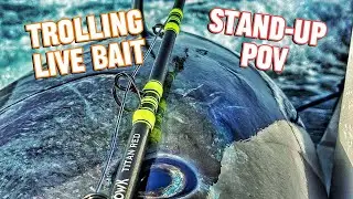 Trolling Live Bait for Jumbo Bluefin Tuna - Gibraltar Tuna Paradise
