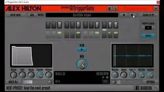 Alex Hilton A1 Trigger Gate