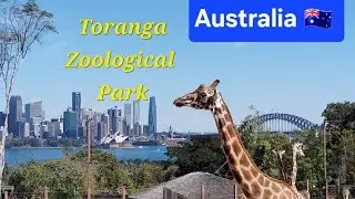 Taronga Zoo Sydney 🦁 | Australia&rsquo;s Famous Zoological Park | Family Day Out🇦🇺#travel 