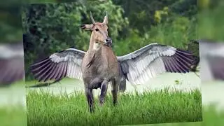30 Pictures Taken At Exactly The Right Moment Time /30 Funny Pictures Taken At Exactly  Right Moment