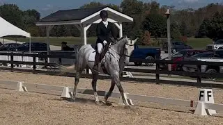 NODA Championship Show October 5 Chagrin Valley Farms Training Level Test 3 L Gorse Queen Jade