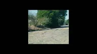 ferrari gt3 edit #short #ferrari #ferrarigt3 #shortsbeta #shortsyoutube #ifsrich #shortsvideo