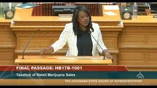 Representative Leslie Herod - HB17B 1001