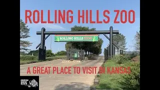Visiting Rolling Hills Zoo In Kansas