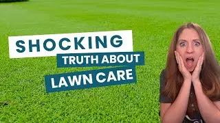 Why I Quit Synthetic Lawn Fertilizer (Chemical Runoff & Safer Alternatives)