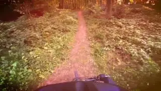 Ein Sonntagnachmittag im Weisshauswald