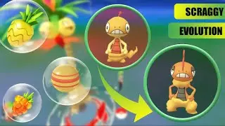Scraggy evolution pok&eacute;mon go | scraggy evolution | Scraggy evolution line | scrafty