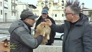 RADICI A MOLOCHIO