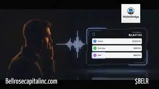 WalletBridge.The World&rsquo;s First Voice-Powered Cross-Platform Payment System Speak It. Send It. Solved