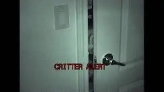 CRITTER ALERT! (Part 1)