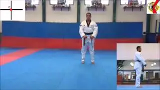 LIGA DE TAEKWONDO DE BOGOTA CRUZ BASICA