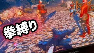 やっぱりウィッチャー3すごい。