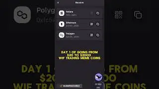 Comment 'W' for Access to profitable Solana Wallets tracking and 40 hours course