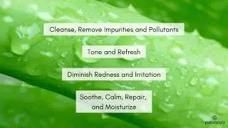 Pevonia Sensitive Skincare Solution Kit , 3 Piece Set
