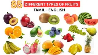Fruits Name with Images in Tamil & English |பழங்களின் பெயர்கள் படங்களுடன் | Bilingual video for kids