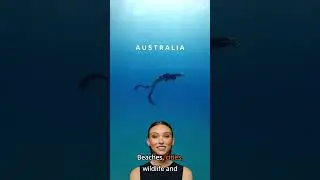 This Is Why Everyone&rsquo;s Booking Australia in 2025 #AustraliaEscape #shortsfeed #shorts