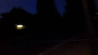 Kukkaketo Jossa Piileksii Verta Imev&auml; Peto