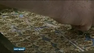 The All-Ireland medal | RT&Eacute; News