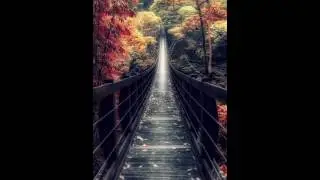 Zedge HD wallpapers free For IPhone/iPod /iPad