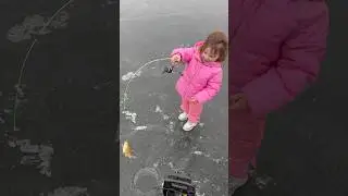 3yr old slaying fish #wesventures #wisconsin #adventure #fishing #kids #girl #nature #wildlife #2024