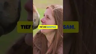 Wie Pferde ihre Besitzer erkennen Die emotionale Verbindung! #horse #pferde #funny #shortsfeed