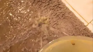 Beautify your wool carpet with these washing techniques