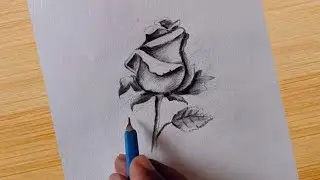 How to draw rose drawing in easy way / rose day special drawing with pencil for beginners