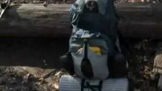 Three Forks to Woody Gap on the AT