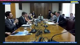 Comisión de Familia, Infancia y Adolescencia - 13 de Enero 2026