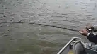 Red River Greenback Guide goes Catfishing
