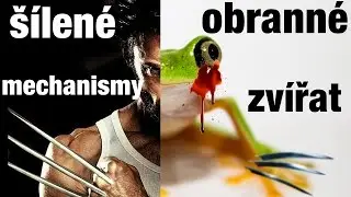 Top 10 &Scaron;&iacute;len&eacute; obrann&eacute; mechanismy zv&iacute;řat