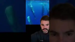 Terrifying morbid compilation that will creep you out