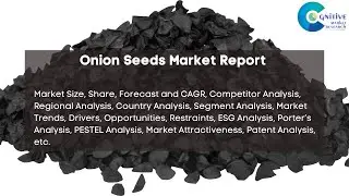 Onion Seeds Market Report 2024 | Forecast, Industry Trend,share Price,Market Size & Growth