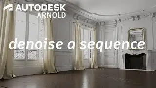 Arnold Tutorial - Denoising a sequence of images (Arnold 7.1)