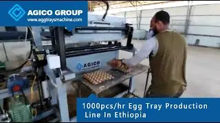 1000pcs/hr Egg Tray Production Line In Ethiopia
