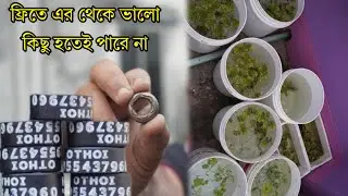 প্রতারিত হবেন না কবুতরের পায়ের রিং কিনে নিজের ব্যবস্থা নিজেই করুন