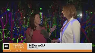Local artists collaborate with Meow Wolf to bring the experience to life