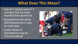 Cardiac Arrest Survivability