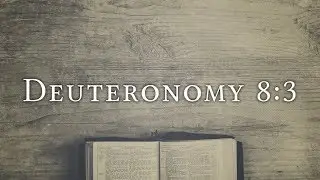 Deuteronomy 8:3