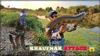 Snackhead Hunt in Village River | Big Fish on Hook | Nadi Ka Khaufnaak Snakehead
