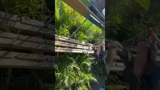 Cool rope Lasso Move | American ninja warrior training #shorts