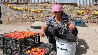 Dersim’in Balışer köyünde kış hazırlıkları başladı