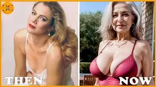 Timeless 1980s Actresses: Cast Then and Now