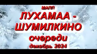 МАПП ЛУХАМАА - ШУМИЛКИНО СУТКИ В ОЧЕРЕДИ, начало декабря 2024 #граница #кпп #мапп #лухамаа