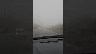 Driving in fog is beautiful and mysterious.