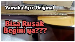 Servis Gitar Yamaha F310 Rusak berat Teratasi