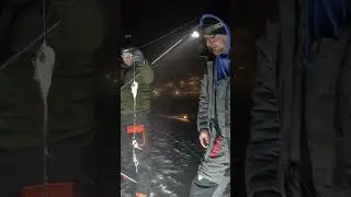 Самая УЖАСНАЯ рыба в мире 🤢🐟 (Познакомьтесь с миногами) #Норвежскаярыбалка #морскаярыбалкаВеликоб...